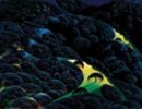 Eyvind Earle-Three-Pastures-On-A-Hillside