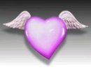  Roark Gourley - Wing.jpg