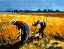 Aldo Luongo - Harvest.jpg( 55.28 KB)