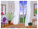 Thomas-McKnight_White-Curtains.jpg