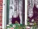 Susan Rios - Beyond-the-Green-Door.jpg