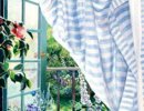 Susan Rios - California-Morning.jpg