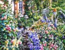 Susan Rios - The-Heart-of-a-Garden.jpg