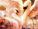 Stephen Shortridge - Devotion.jpg( 25.05 KB)