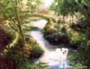 Stephen Shortridge - Lily.jpg( 30.69 KB)