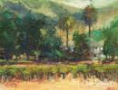 Stephen Shortridge - Winepalm.jpg( 30.83 KB)
